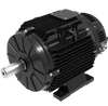 T132ECI